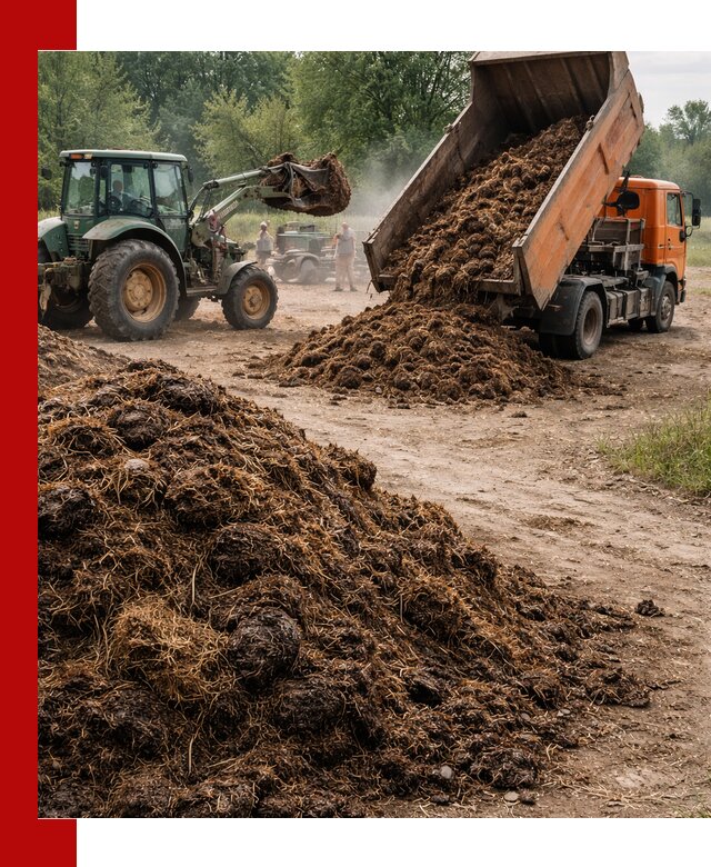 Доставка навоза самосвалами в Острогожске для сельхозпотребностей