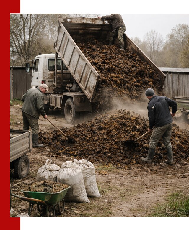 Доставка коровьего навоза самосвалом в Острогожске